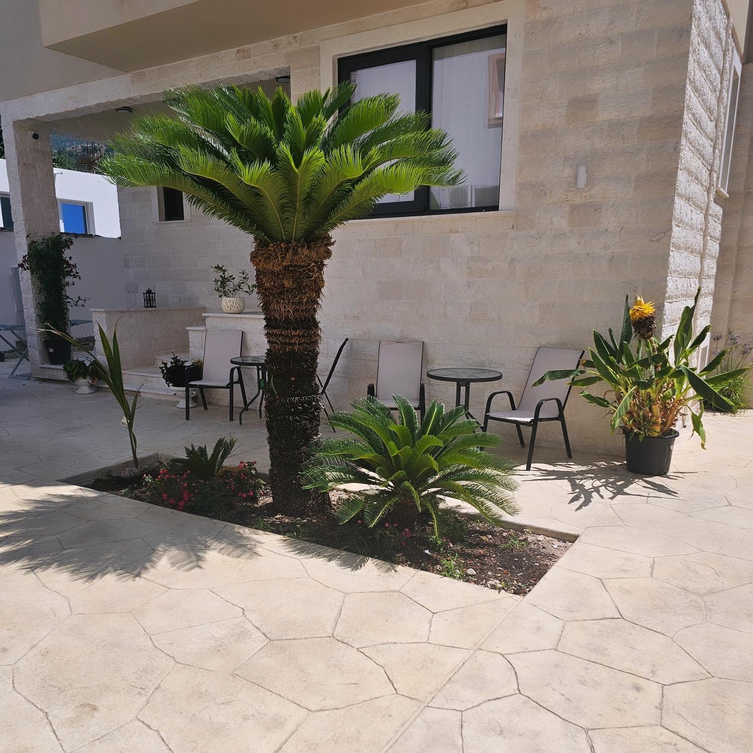 בודווה La Vida Apartments מראה חיצוני תמונה